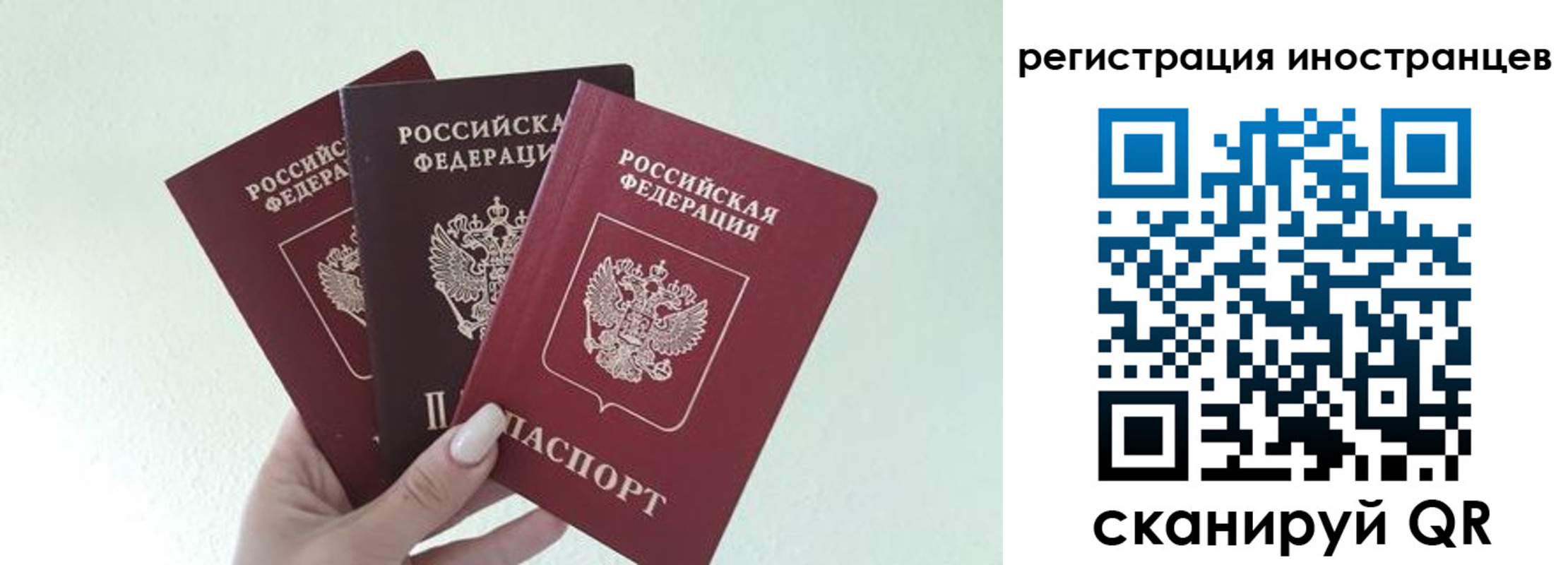 миграционный учет в Зернограде